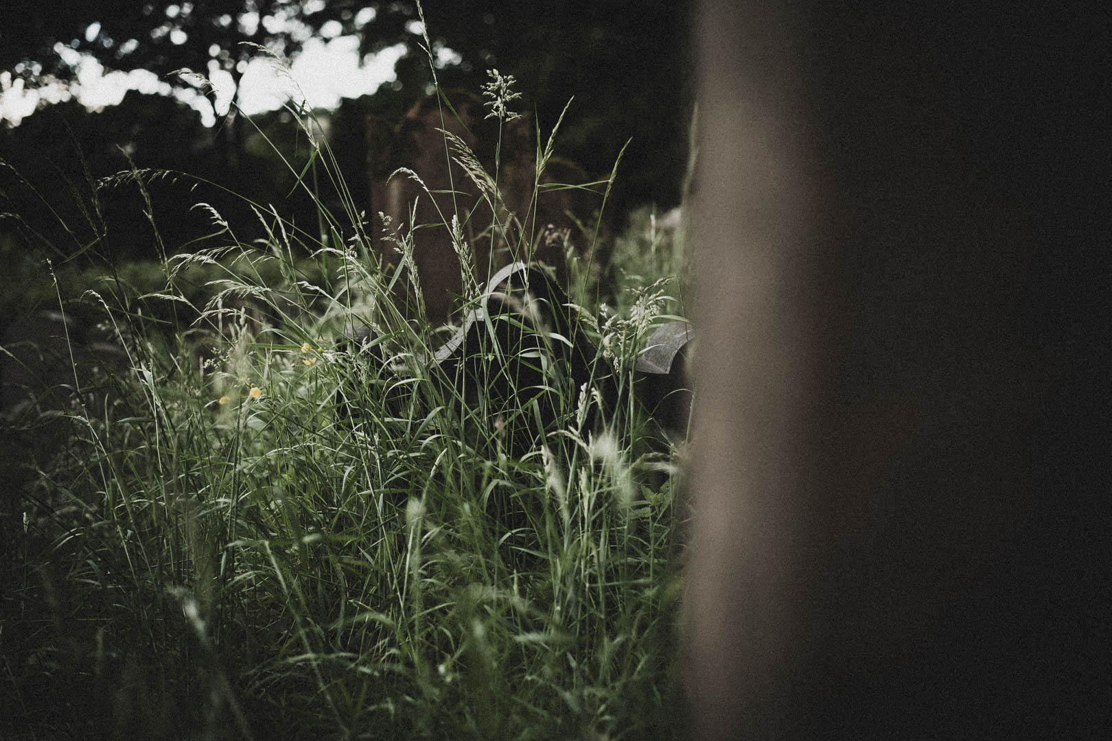 Aufenau Jüdischer Friedhof